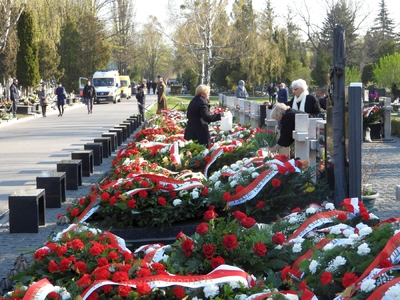 fot. Mateusz Niegowski