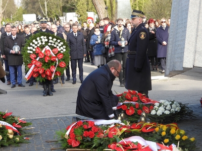 fot. Mateusz Niegowski