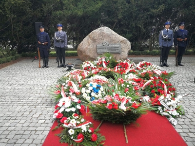 fot. Mateusz Niegowski