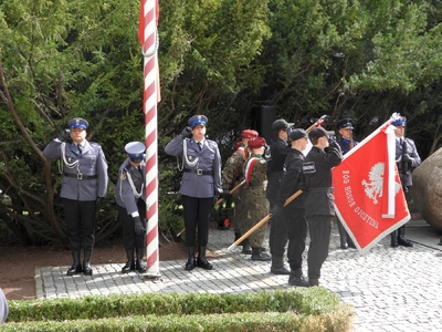 fot. Mateusz Niegowski