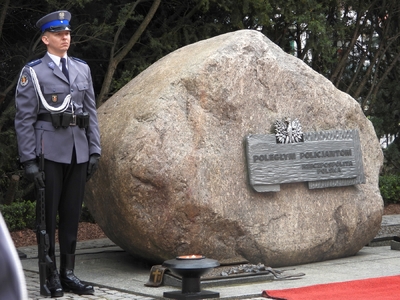 fot. Mateusz Niegowski