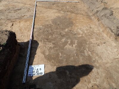 fot. Piotr Kędziora-Babiński