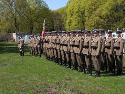 fot. Mateusz Niegowski