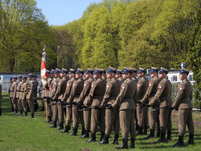 fot. Mateusz Niegowski