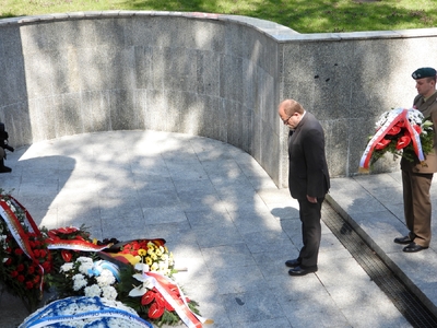 fot. Mateusz Niegowski