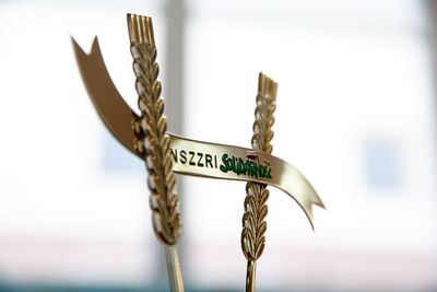 Złota Statuetka NSZZ RI „Solidarność” przyznana Instytutowi Pamięci Narodowej. Fot. Sławek Kasper (IPN)