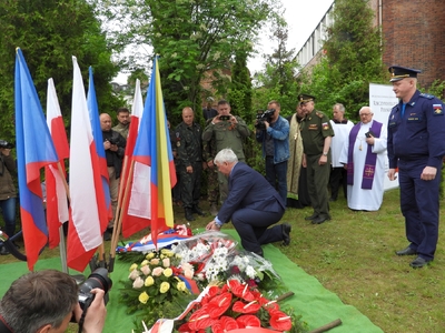 fot. Mateusz Niegowski