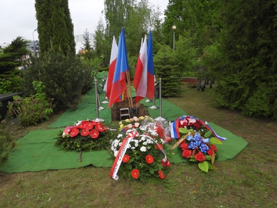 fot. Mateusz Niegowski