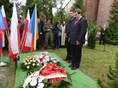 fot. Mateusz Niegowski