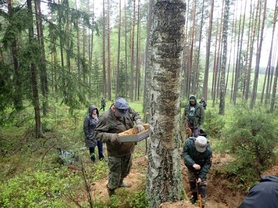 fot. Piotr Kędziora-Babiński