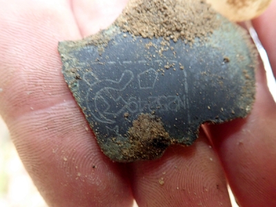 fot. Piotr Kędziora-Babiński