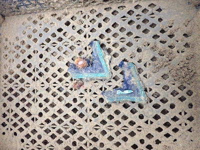 fot. Piotr Kędziora-Babiński