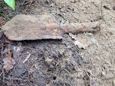 fot. Piotr Kędziora-Babiński