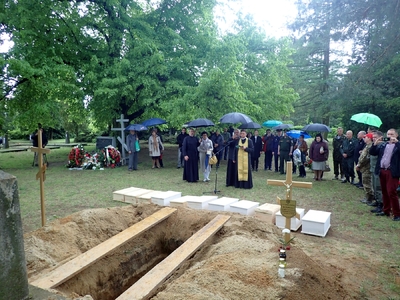 fot. Piotr Kędziora-Babiński