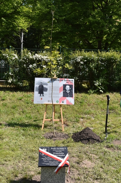 fot. Marcin Manowski