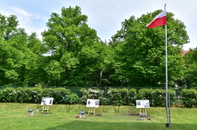 fot. Marcin Manowski