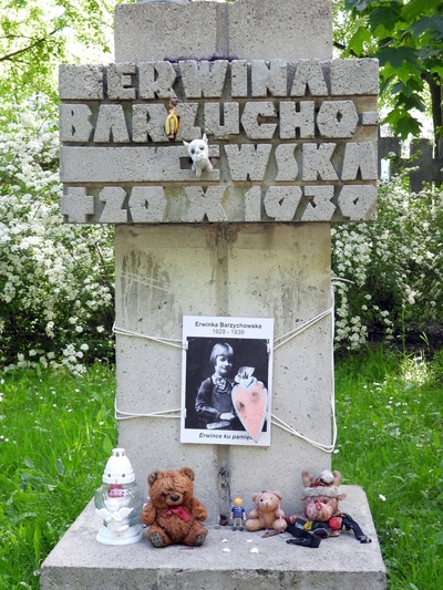 fot. Mateusz Niegowski