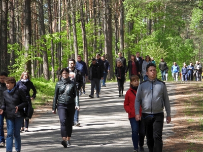 Lasy Piaśnickie fot. Mateusz Niegowski