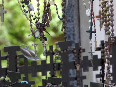 Lasy Piaśnickie fot. Mateusz Niegowski