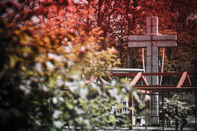 Uroczystości upamiętniające żołnierzy z oddziału NSZ kpt. Henryka Flamego ps. „Bartek” – Stary Grodków, 5 czerwca 2019. Fot. Sławek Kasper (IPN)