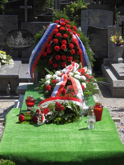 fot. Mateusz Niegowski