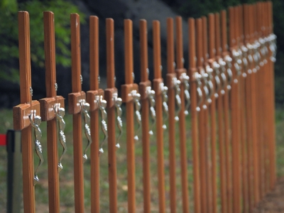 fot. Mateusz Niegowski BUWiM