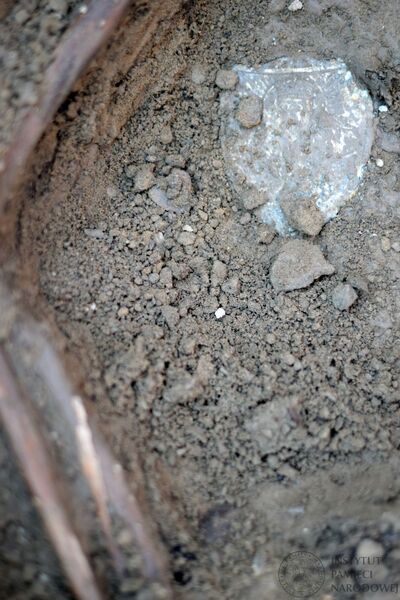 Prace poszukiwawczo-ekshumacyjne Biura Poszukiwań i Identyfikacji IPN w Rycerce Górnej – 29-30 lipca 2019