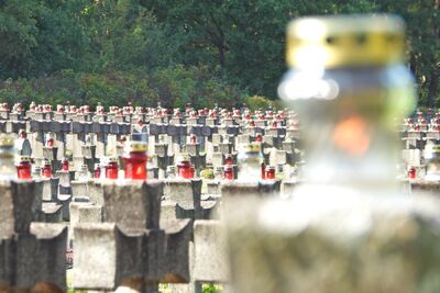 Uroczystość upamiętniająca ofiary egzekucji w Puszczy Kampinoskiej – Palmiry, 14 września 2019. Fot. Mateusz Niegowski (IPN)