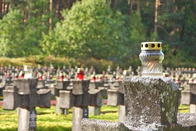 Uroczystość upamiętniająca ofiary egzekucji w Puszczy Kampinoskiej – Palmiry, 14 września 2019. Fot. Mateusz Niegowski (IPN)