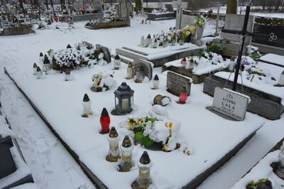 Grób zamordowanych przez Niemców mieszkańców wsi Zubki Małe – przed remontem