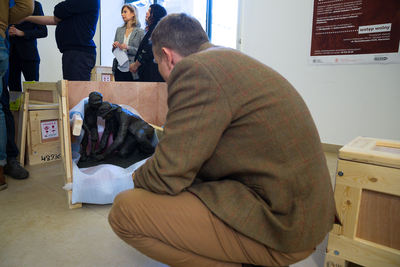 Rzeźby Samuela Willenberga przybyły z Izraela do Warszawy – 15 stycznia 2020. Fot. Sławek Kasper (IPN)