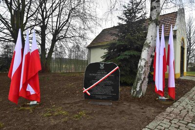 Fot. Marcin Manowski