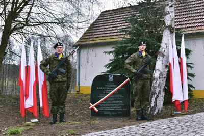 Fot. Marcin Manowski