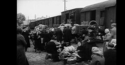 „Przystanek Historia” w TVP Historia – 19 lutego 2020