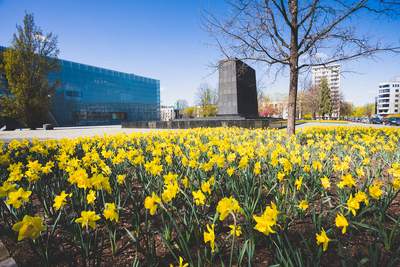 77. rocznica wybuchu powstania w getcie warszawskim – pomnik Bohaterów Getta. Fot. Sławek Kasper (IPN)