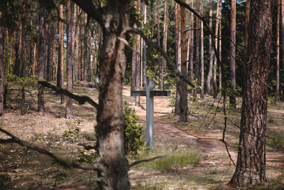Palmiry to jedno spośród miejsc masowych egzekucji wykonywanych przez Niemców podczas tzw. akcji AB. Fot. Sławek Kasper (IPN)