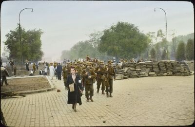 Budowa umocnień na Pradze w rejonie ulicy Zygmuntowskiej (dziś fragment alei Solidarności) i placu Weteranów 1863, 7 września 1939.  (AIPN/Kolekcja Juliena Bryana w Warszawie. AIPN/Julien Bryan Collection in Warsaw)