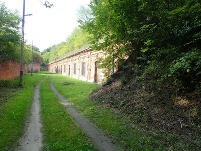 Trzeci etap prac ekshumacyjnych w Pomiechówku. Fot. Piotr Kędziora-Babiński (IPN)