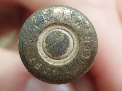 Prace ekshumacyjne BUWiM IPN w Apolonce, 17 września 2020