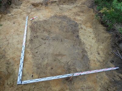 Prace ekshumacyjne BUWiM IPN w Apolonce, 17 września 2020