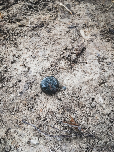 F5A02DD6-19C2-40B4-9163-BE6691CD7667