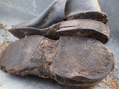 Ekshumacja Antoniego Palucha – Silna, 2 grudnia 2020