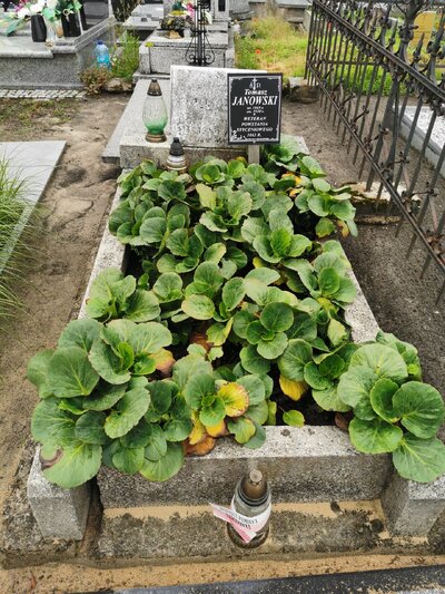 Grób Tomasz Janowski przed remontem