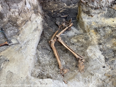 Prace poszukiwawcze na terenie dawnego Więzienia Karno-Śledczego Warszawa III „Toledo” (dziś ul. Namysłowska, Praga-Północ, Warszawa) w 2020 roku. Fot. IPN