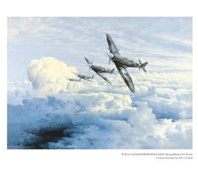 Strona z albumu „Walki powietrzne w obrazach”