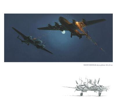 Strona z albumu „Walki powietrzne w obrazach”