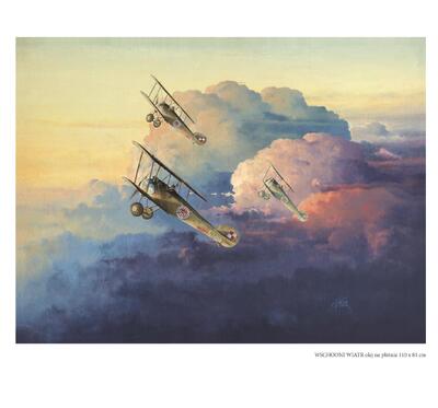 Strona z albumu „Walki powietrzne w obrazach”