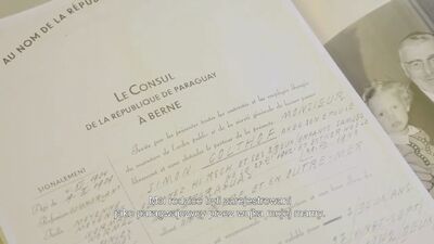 Kadr z filmu „Polmission. Tajemnice paszportów”