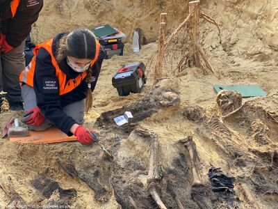 Prace ekshumacyjne prowadzone przez Biuro Poszukiwań i Identyfikacji IPN przy ul. Skierdowskiej w Warszawie – 25 marca 2021. Fot. BPiI IPN