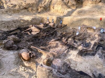 Prace ekshumacyjne prowadzone przez Biuro Poszukiwań i Identyfikacji IPN przy ul. Skierdowskiej w Warszawie – 25 marca 2021. Fot. BPiI IPN